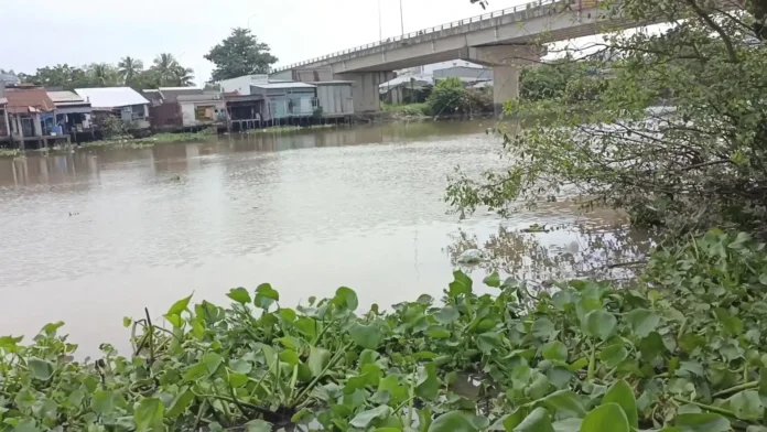 Sông nhu gia - Cảnh chụp dưới chân cầu Nhu Gia