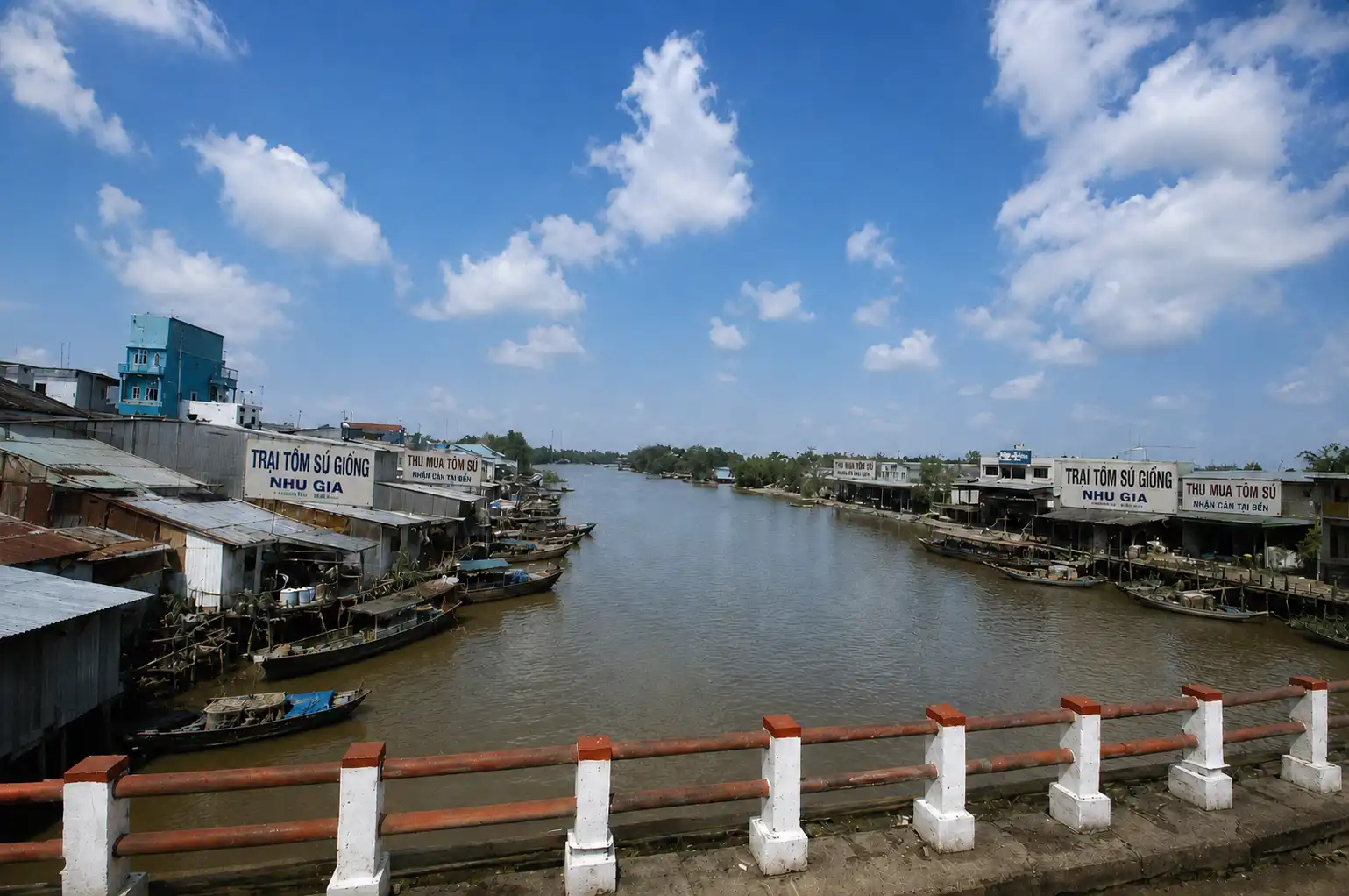 Trại tôm giống và thu mua tôm sú hai bên bờ sông Nhu Gia (ảnh minh họa bằng AI)
